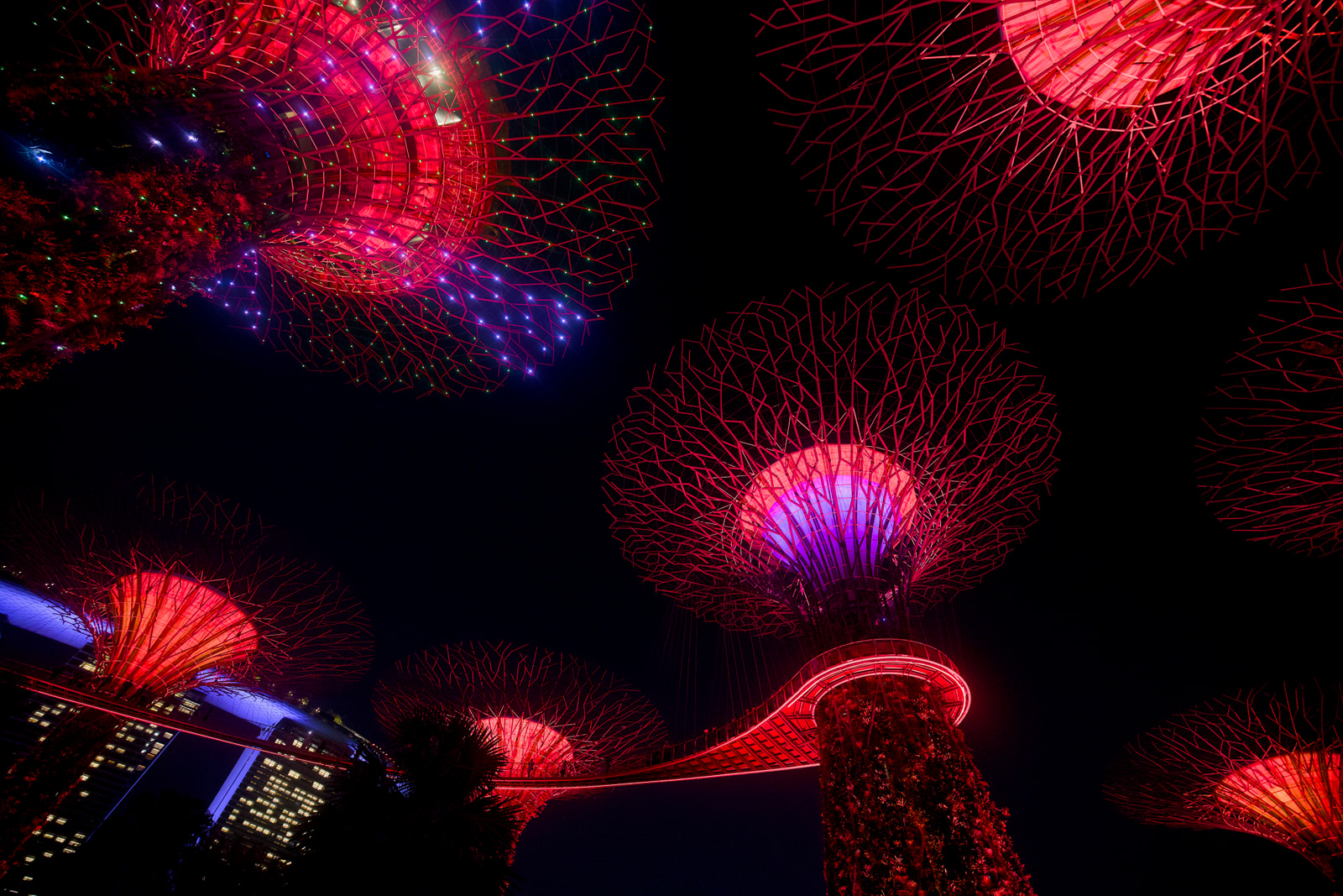 Gardens by the Bay, Singapore, 2025