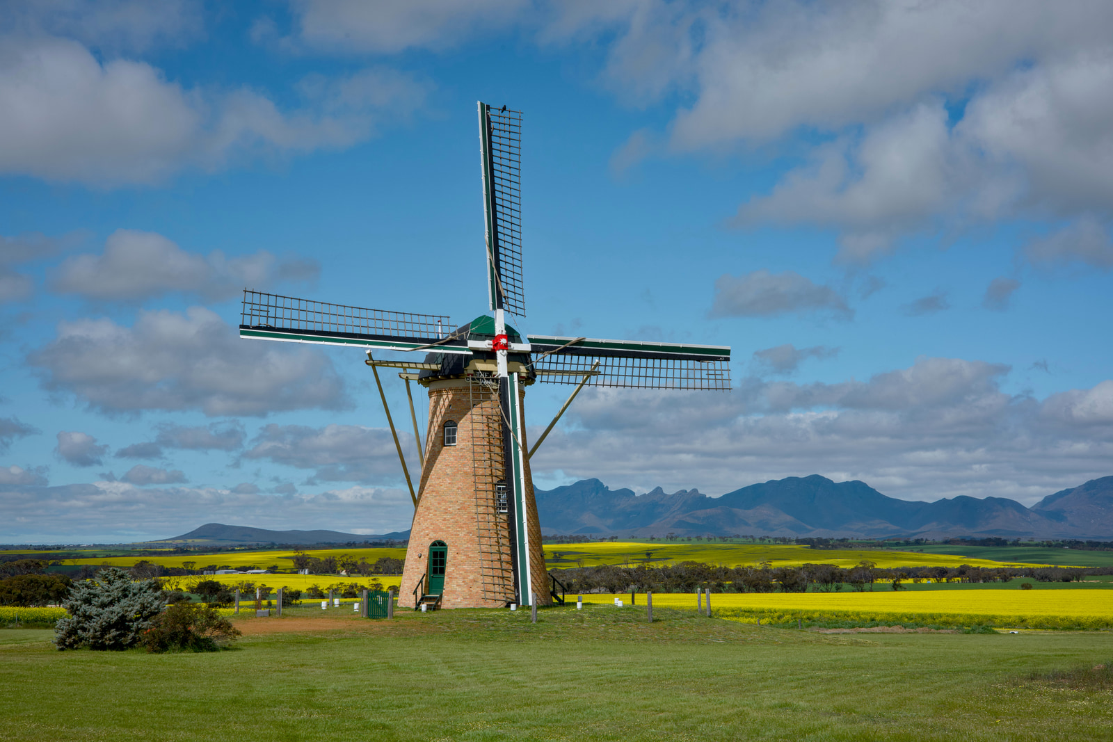 The Lily Dutch Windmill, Amelup, 2025