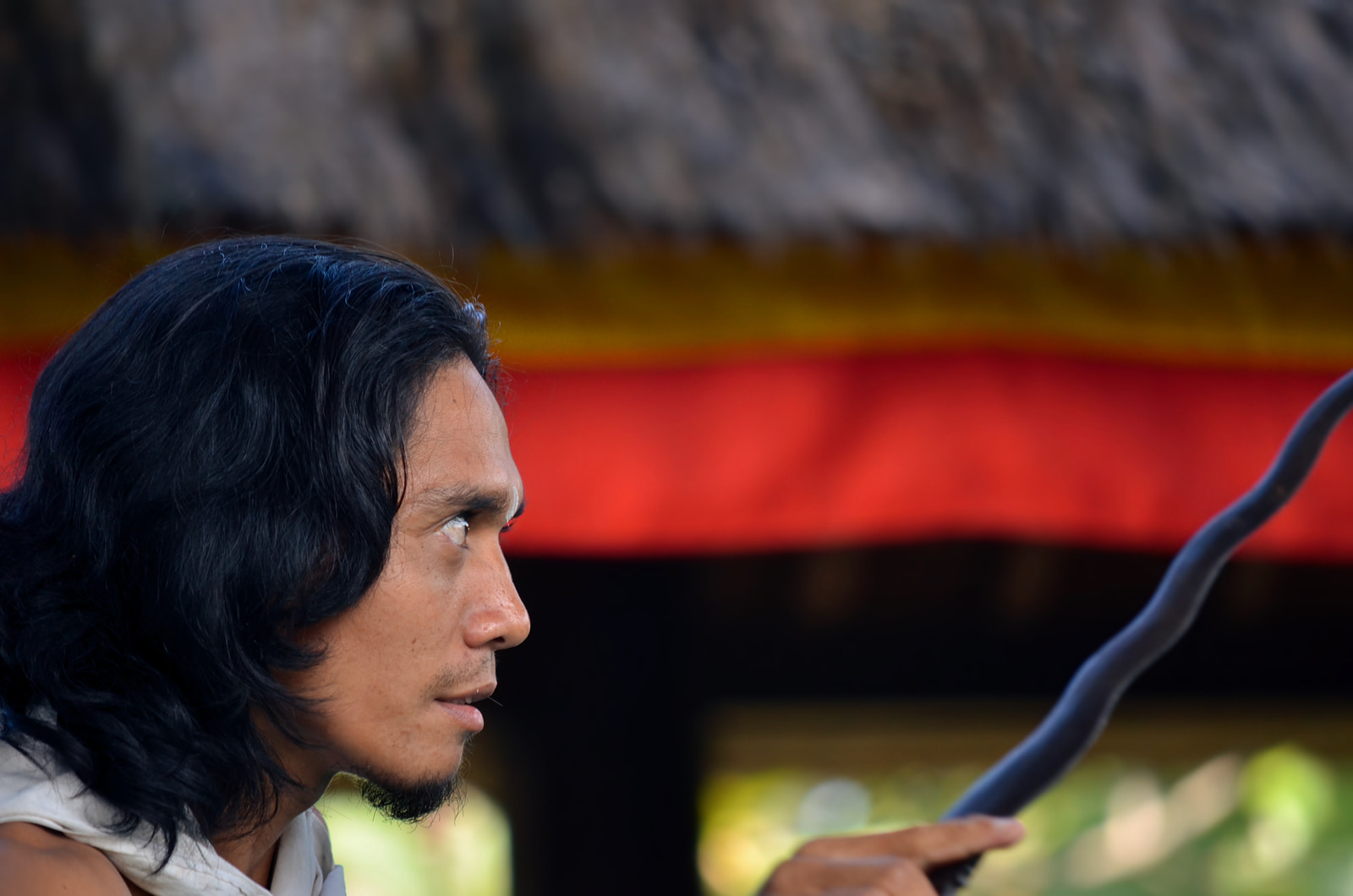 Batubulan Village, Bali, 2015