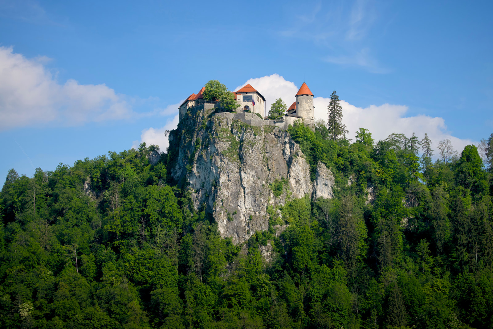 Bled, 2024